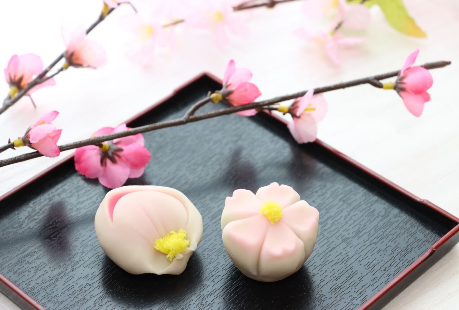 裏千家　茶道＜夜教室＞　満員