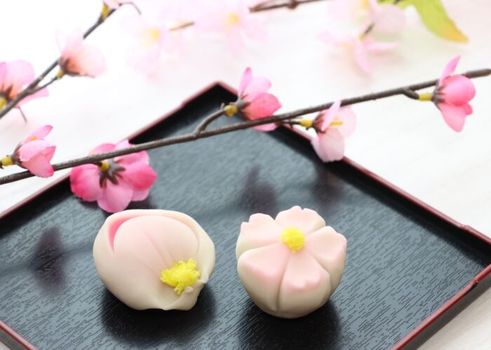 裏千家　茶道＜夜教室＞　満員